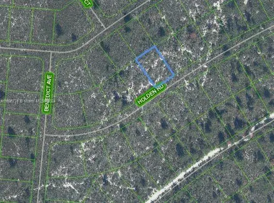 Land/Boat Docks for sale at 6552 Holden Road, Sebring FL 33872