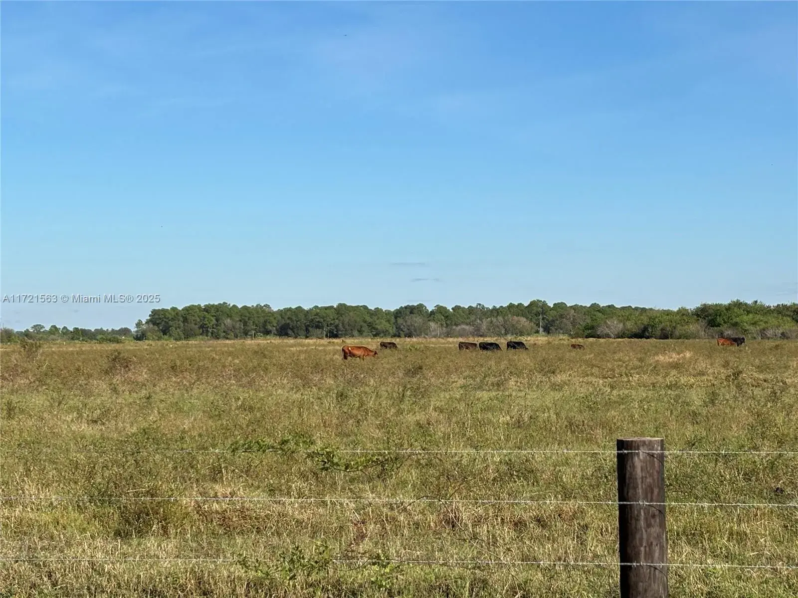 2588 Christopher Lane, Clewiston FL 33440