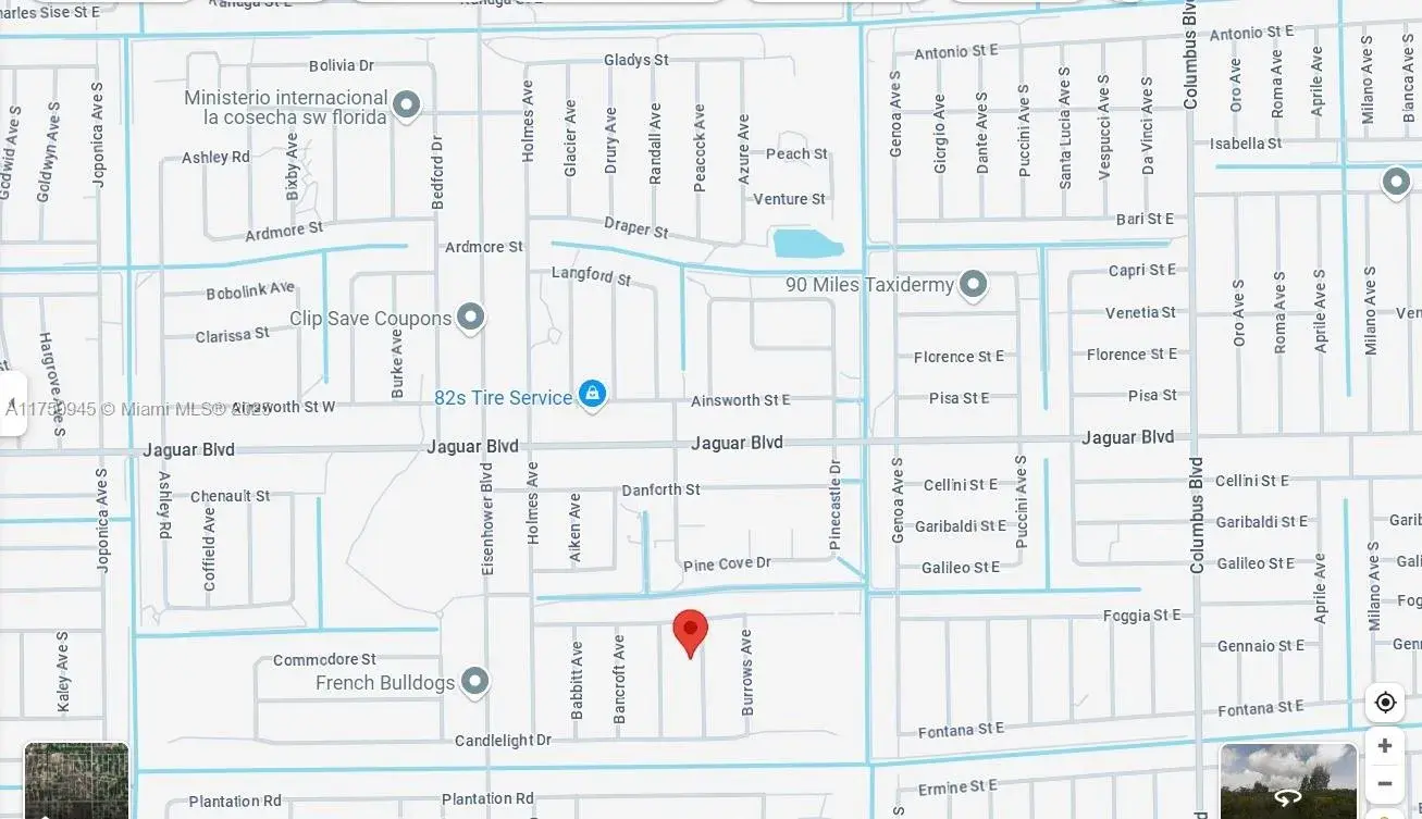 Commercial Land for sale at 852 BURNETT AVE, Lehigh Acres FL 33974