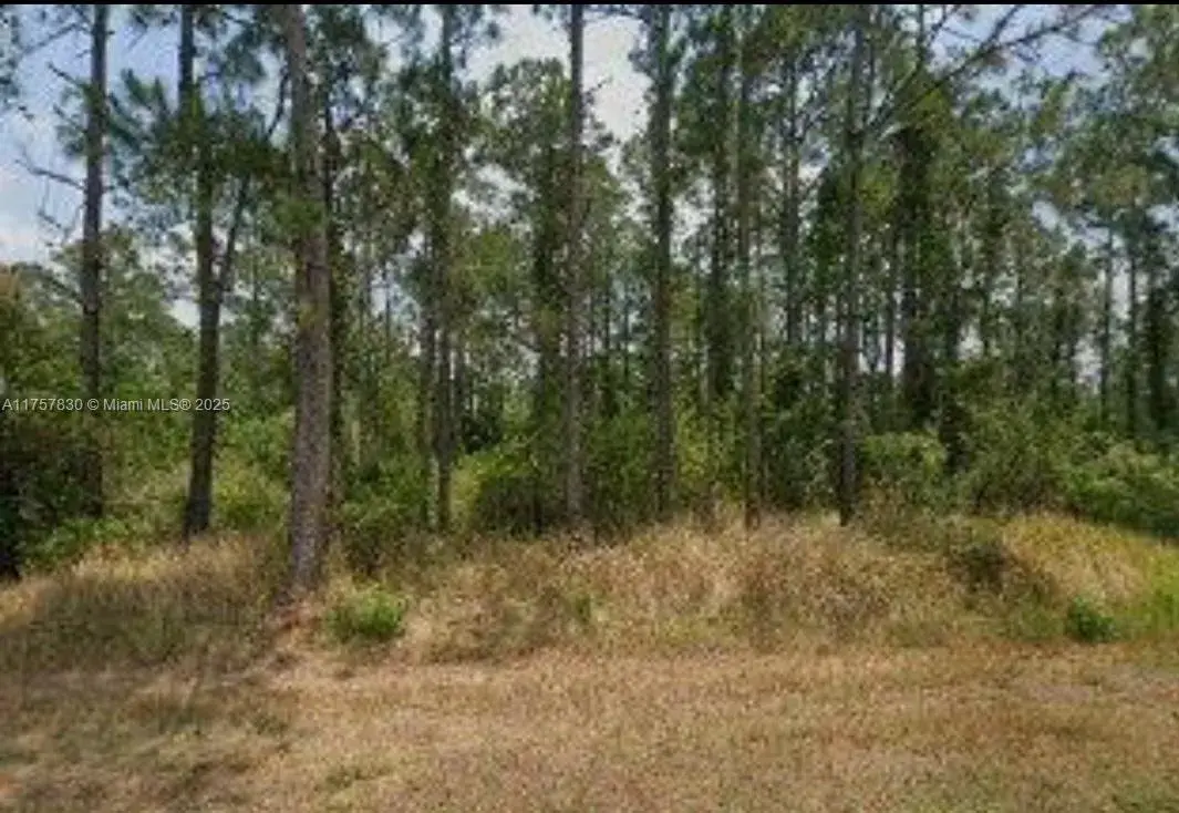 Land/Boat Docks for sale at 5112 Manati Ave., Sebring FL 33872
