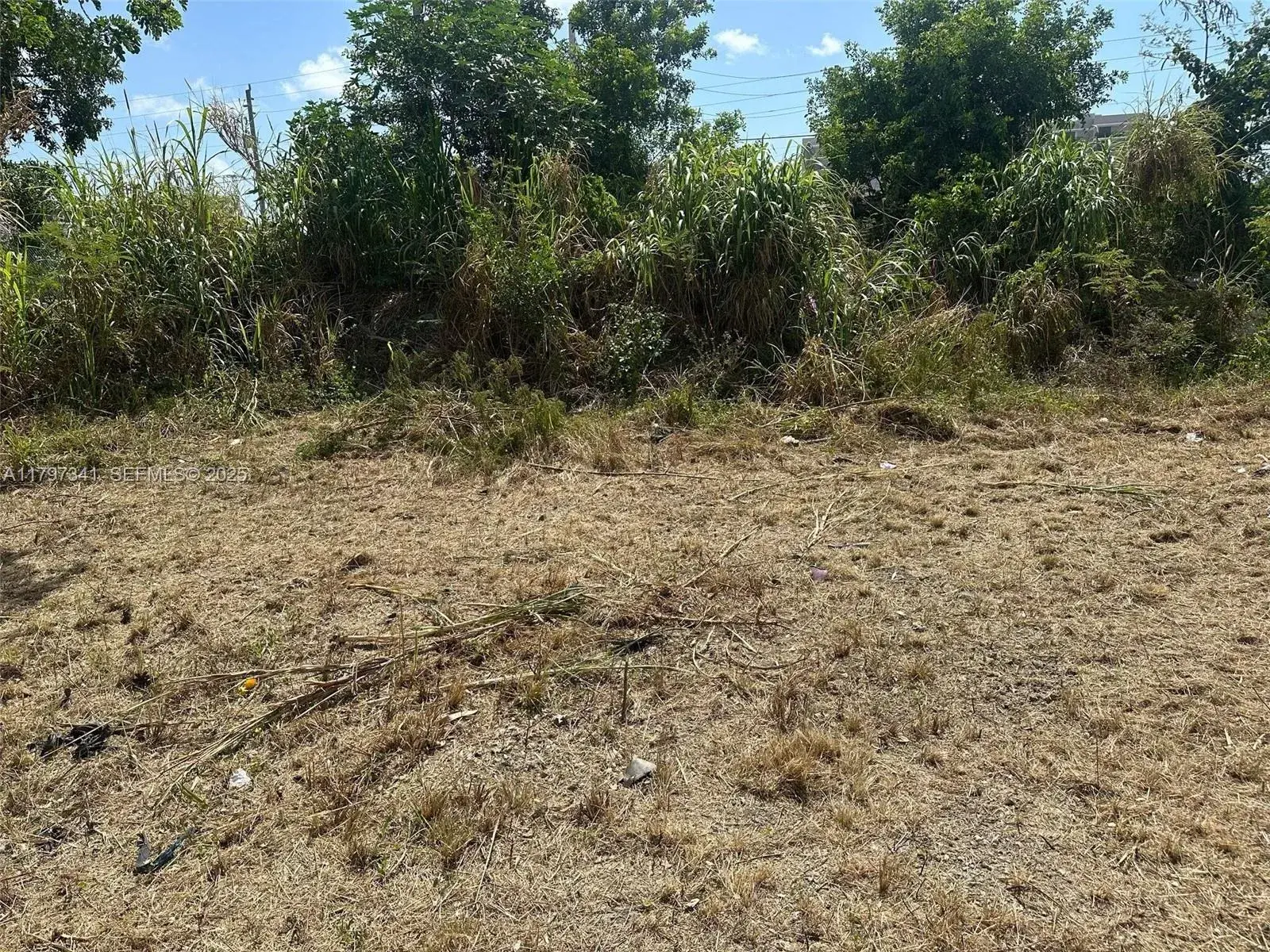 10025 W Indigo, Miami FL 33157