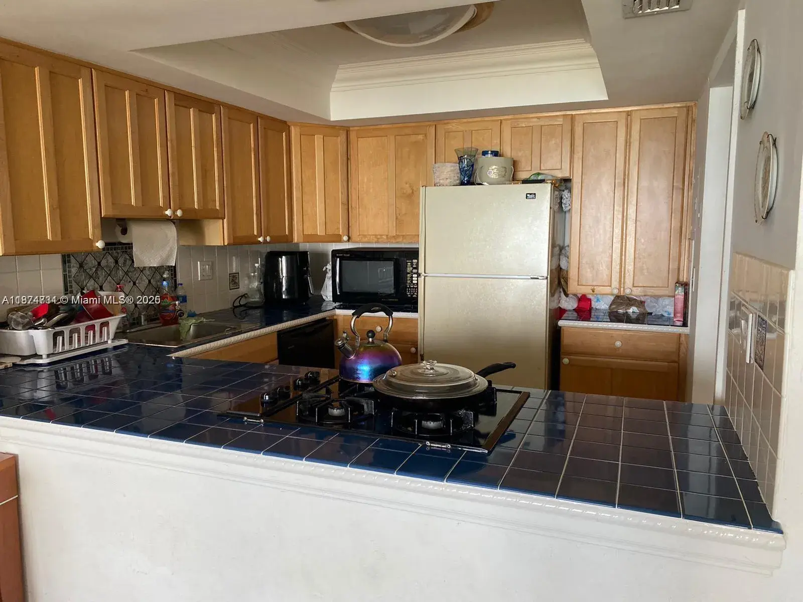 1 bedroom 1 bath Residential Lease for rent at 2030 S Ocean Dr # 617, Hallandale Beach FL 33009