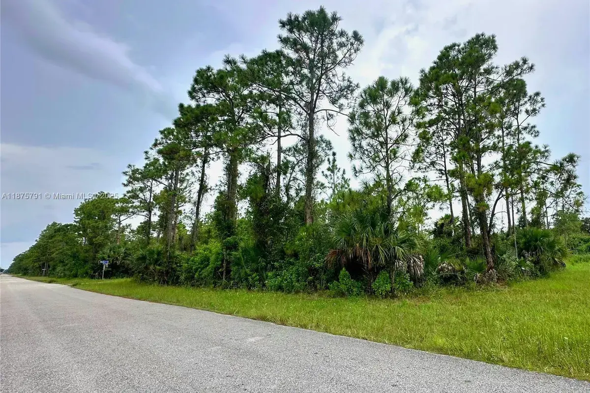1247 Rake ST E, Lehigh Acres FL 33974