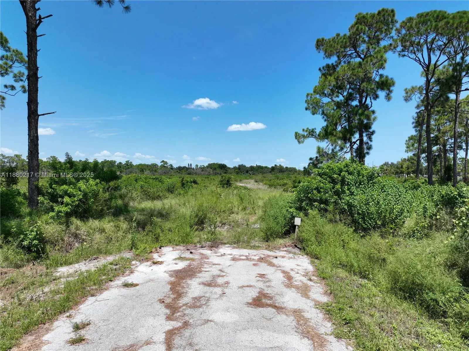 Commercial Land for sale at 530 Lotus, Sebring FL 33872