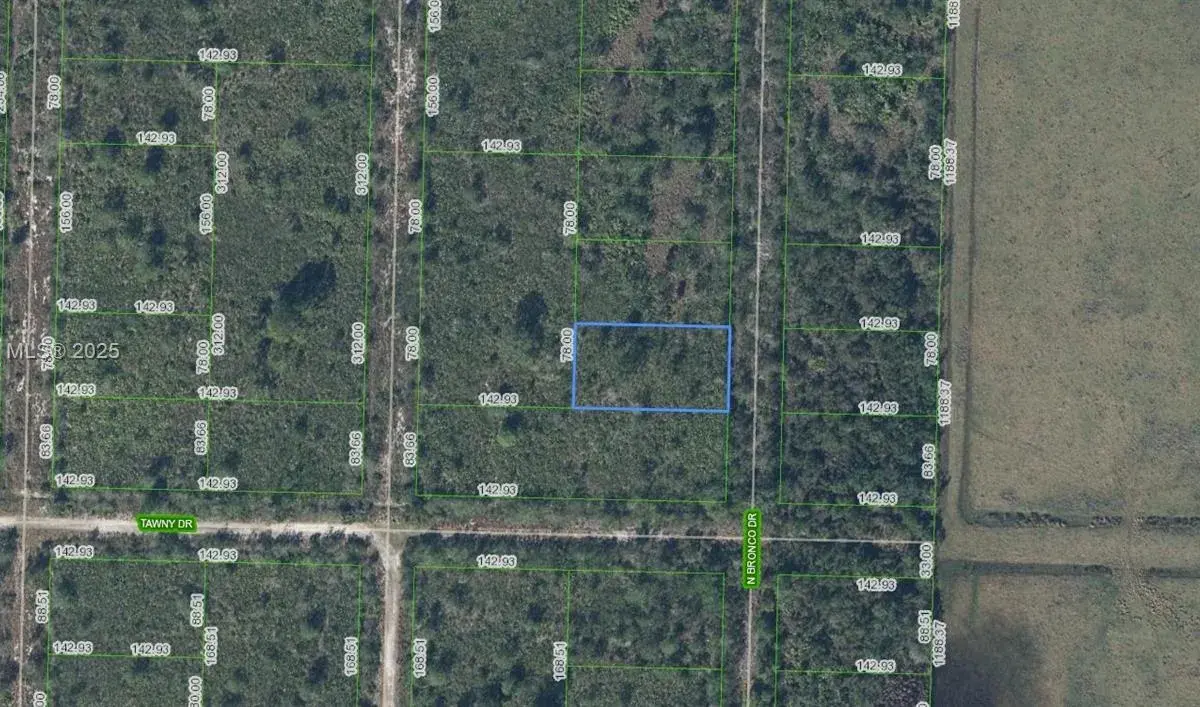 709 N Bronco Dr., Lorida FL 33857