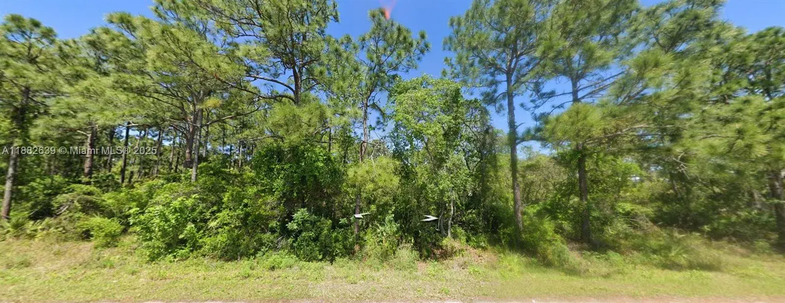 110 Sentimental CT, Lake Placid FL 33852