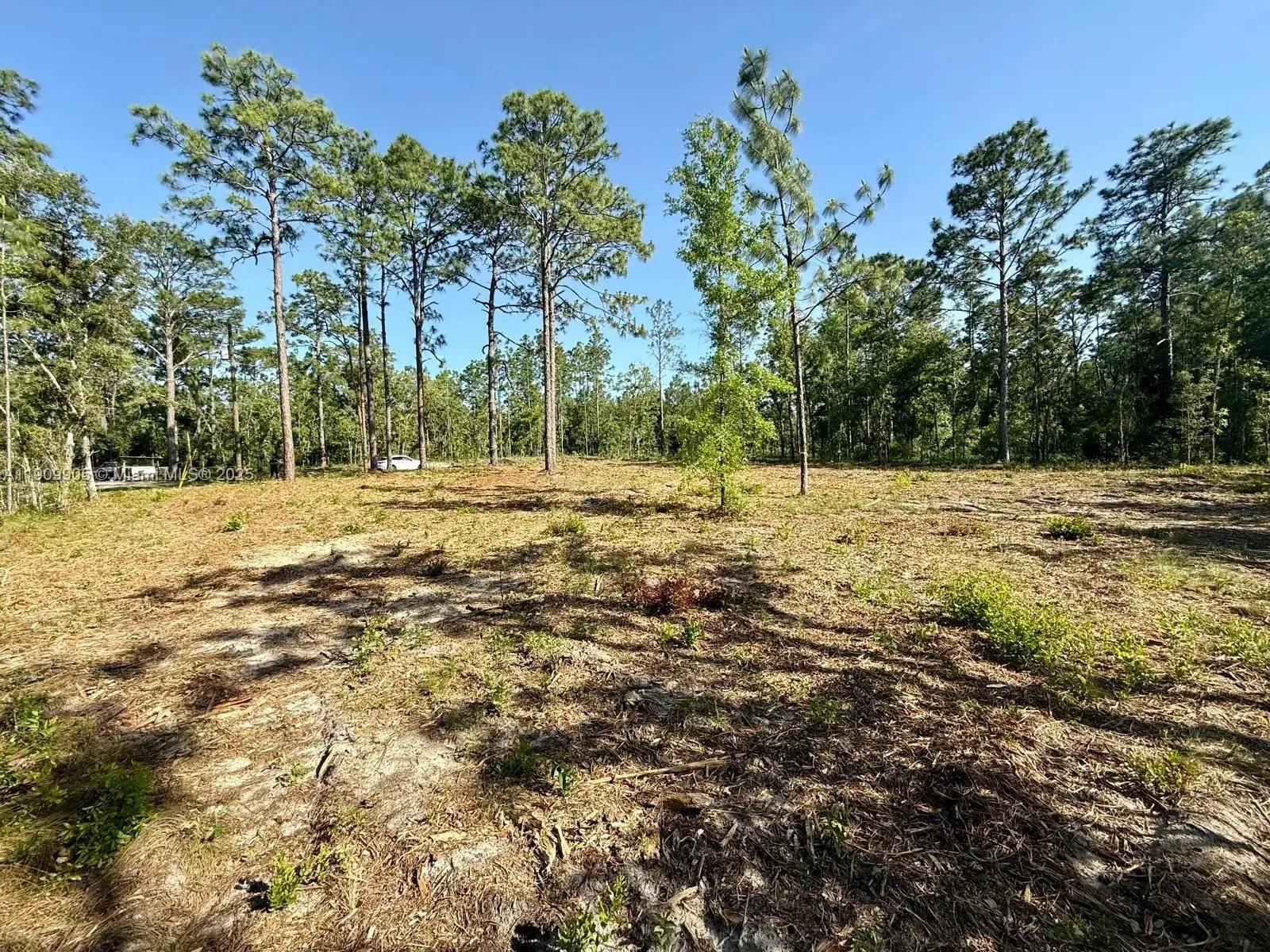 Land/Boat Docks for sale at 0 NW 157th Ave, Williston FL 32696