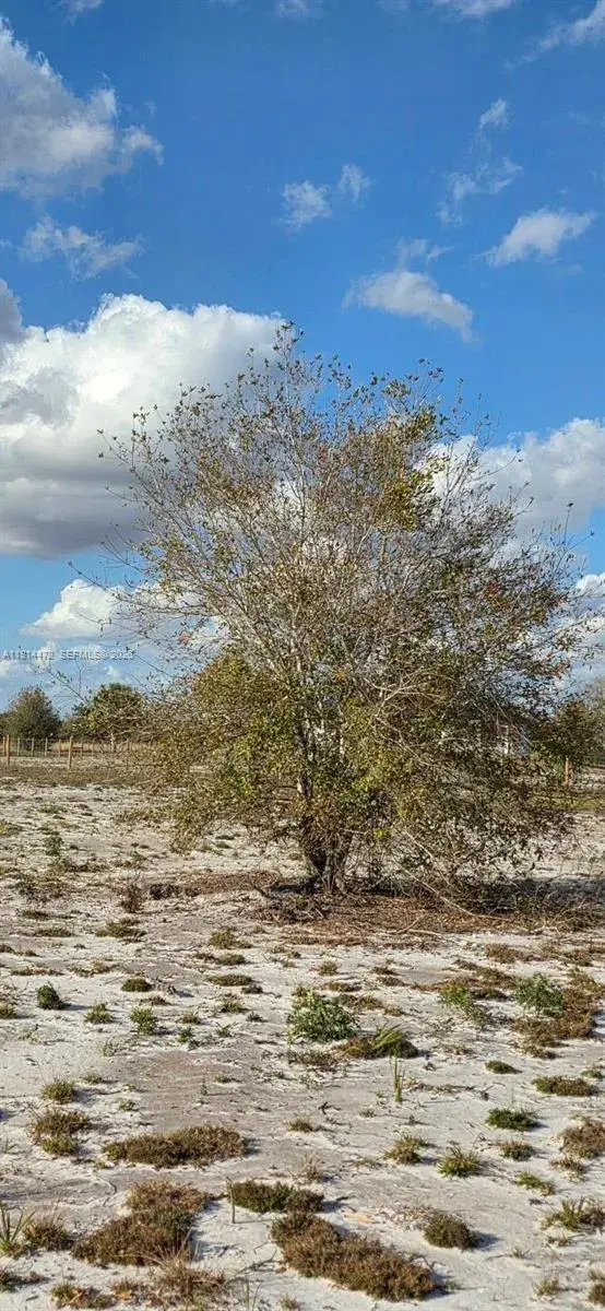 16525 NW 260 st, Okeechobee FL 34972