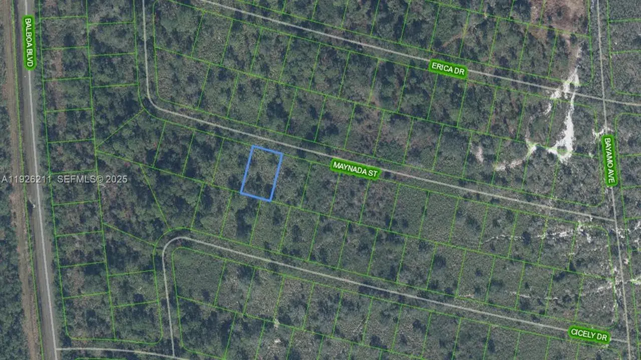 Land/Boat Docks for sale at 8725 MAYNADA ST, Sebring FL 33872