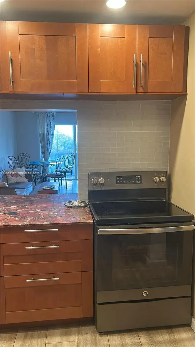 215 SE 3rd Ave # 306C, Hallandale Beach FL 33009