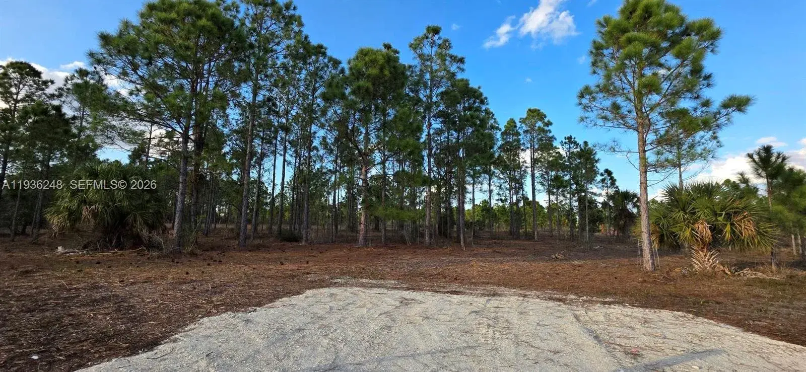 17923 NW 298 st, Okeechobee FL 34972