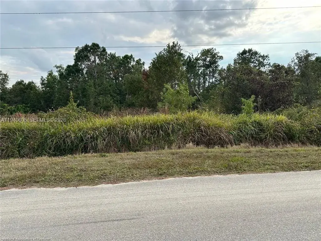2301 S Avon Estates Blvd, Avon Park FL 33825