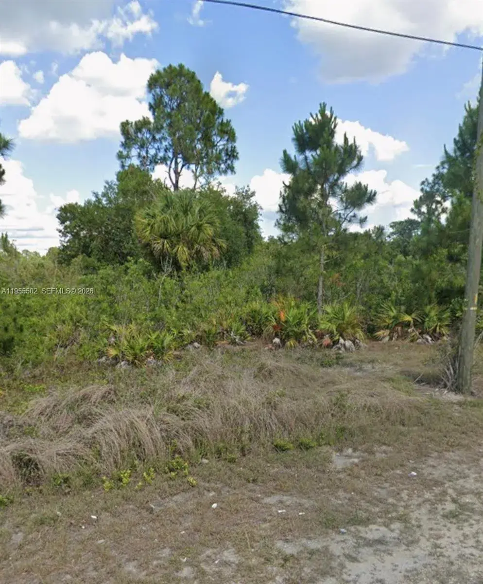 Land/Boat Docks for sale at 169 Thornton Ave S, Lehigh Acres FL 33974