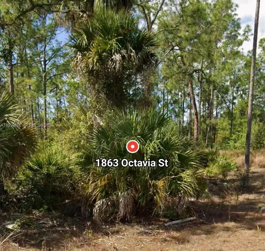1602 E 15th st, Lehigh Acres FL 33972