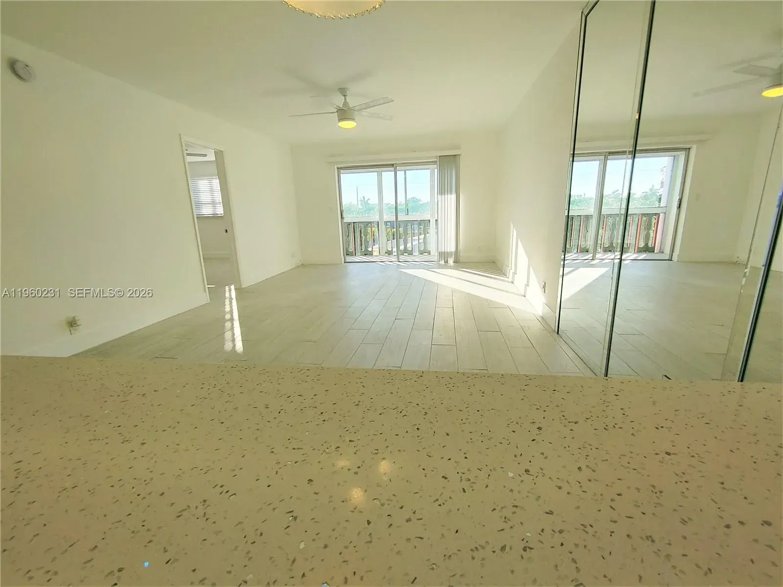 2 bedroom 1 bath Residential Lease for rent at 215 SE 3rd Ave # 307C, Hallandale Beach FL 33009