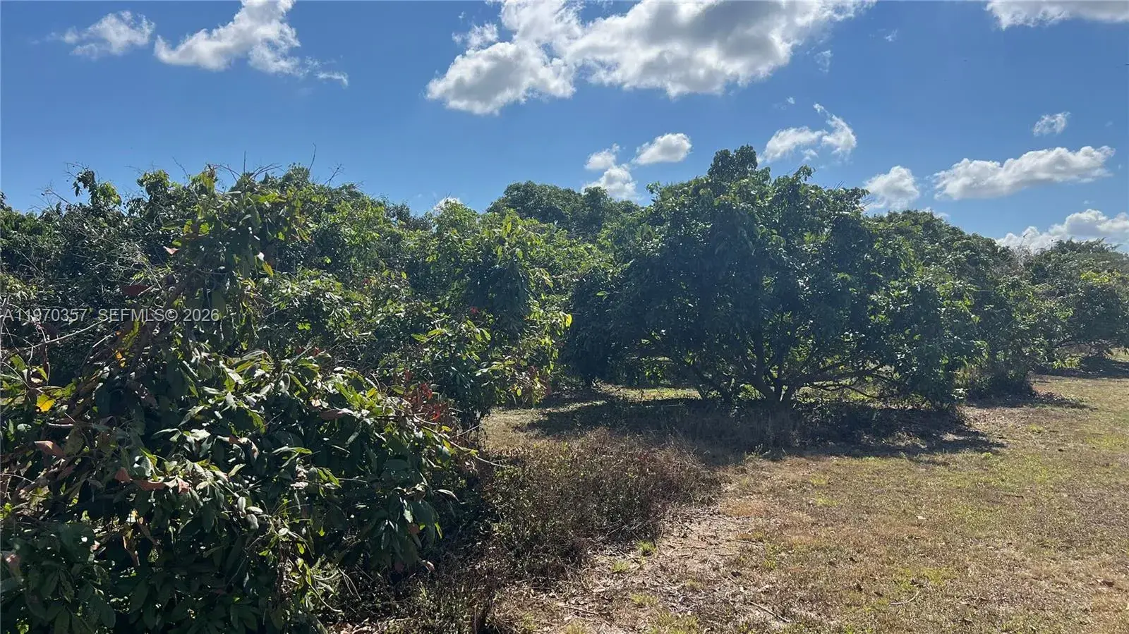 Commercial Land for sale at SW, Miami FL 33187