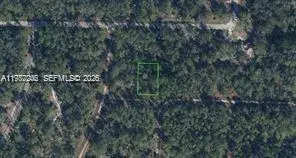 Land/Boat Docks for sale at 3215 Delafield, Lake Placid FL 33852