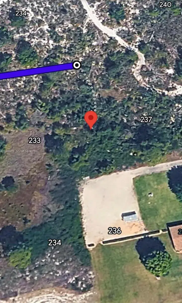 235 Pershing Ave, Lake Placid FL 33852