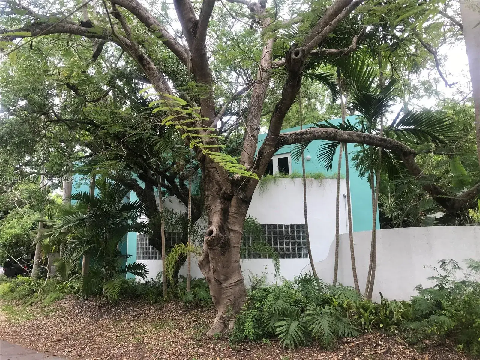 3151 Freeman St, Miami FL 33133