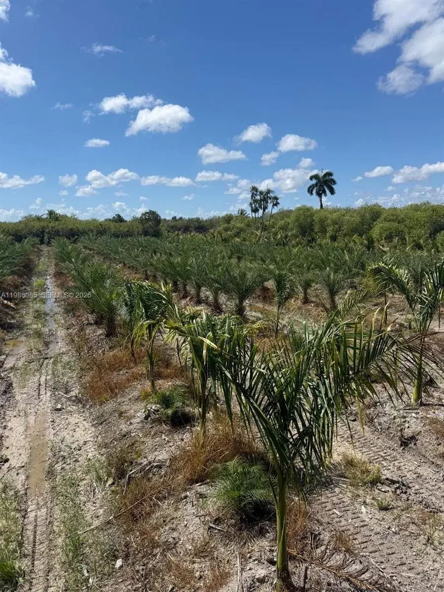 122 ave sw 330 st, Homestead FL 33035