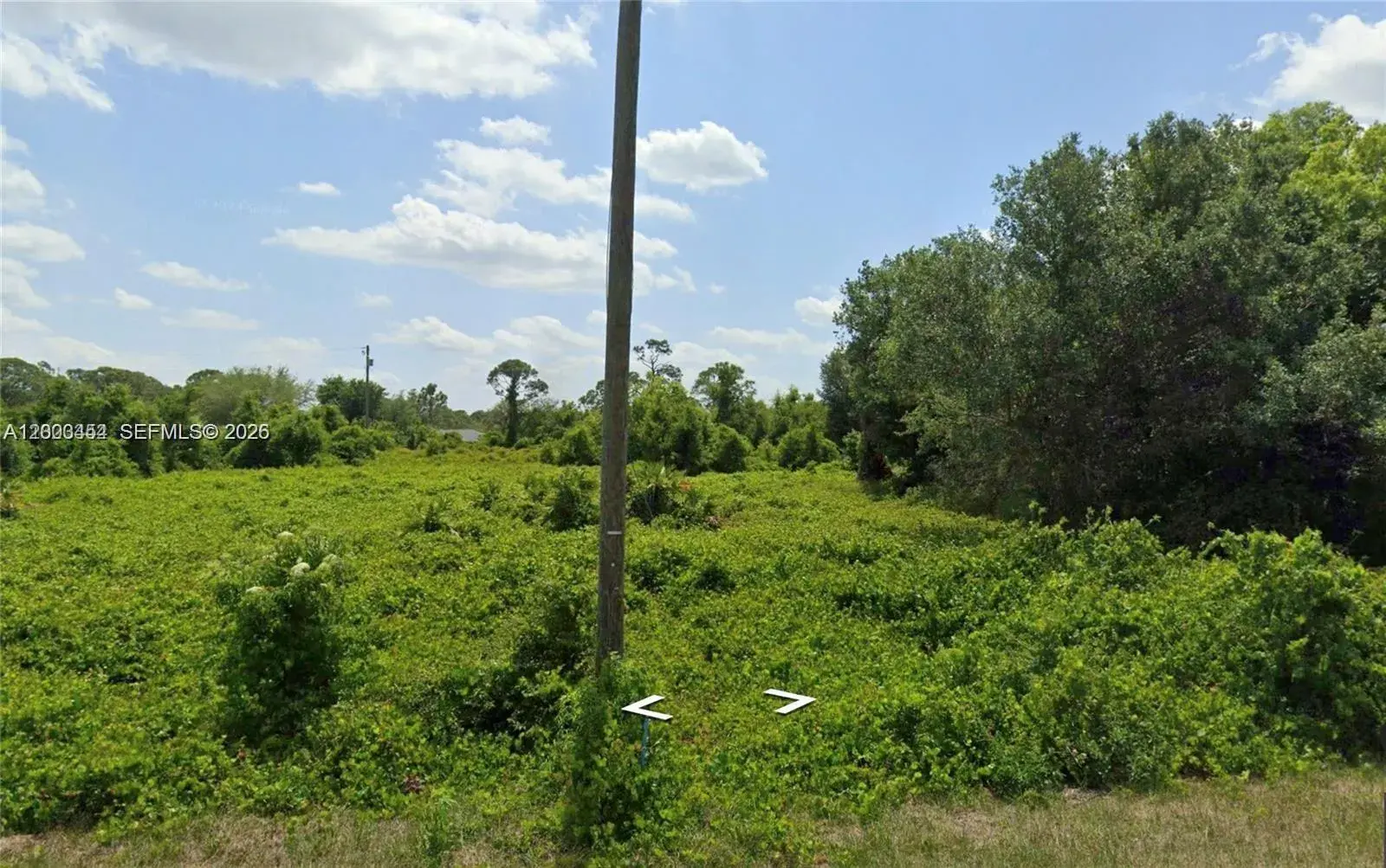 Land/Boat Docks for sale at 567 NE Farrell Drive, Lake Placid FL 33852