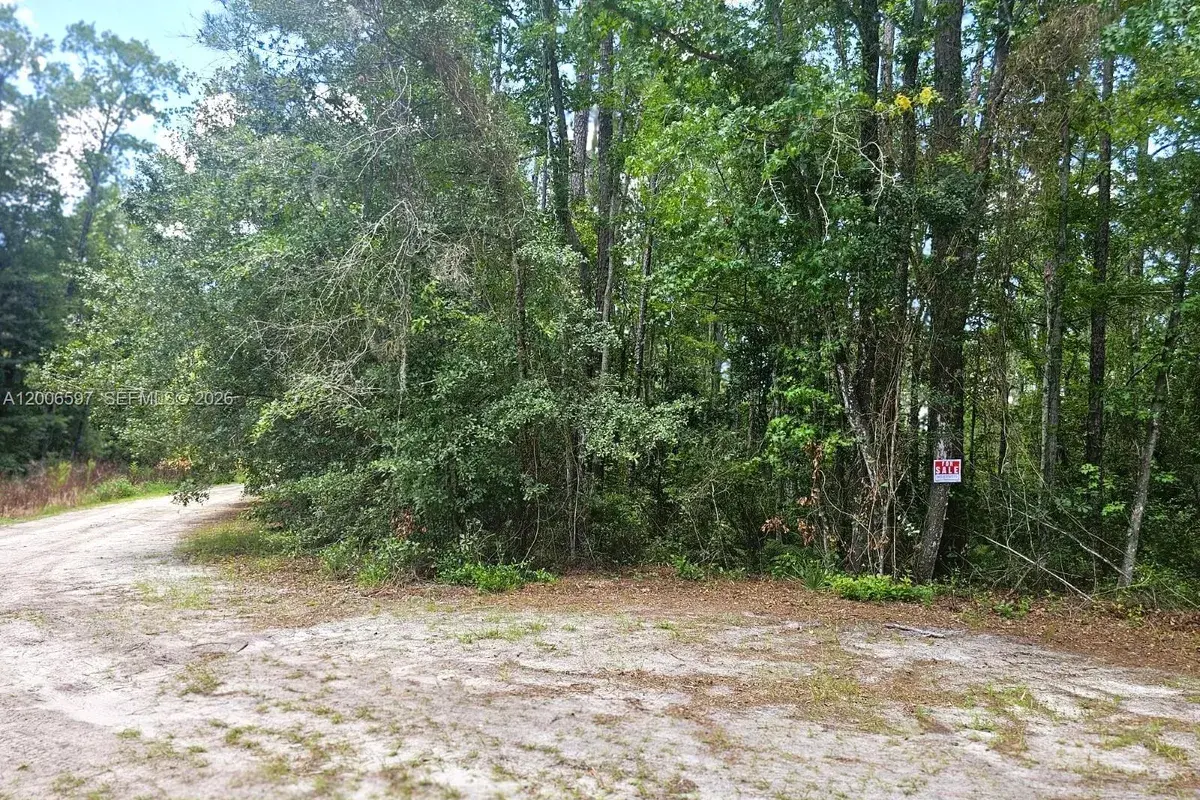 No situs SE 2nd ST, Palatka FL 32177
