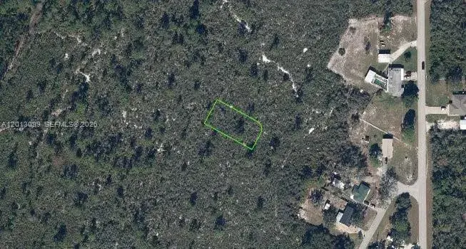 1425 Doolittle St, Lake Placid FL 33852