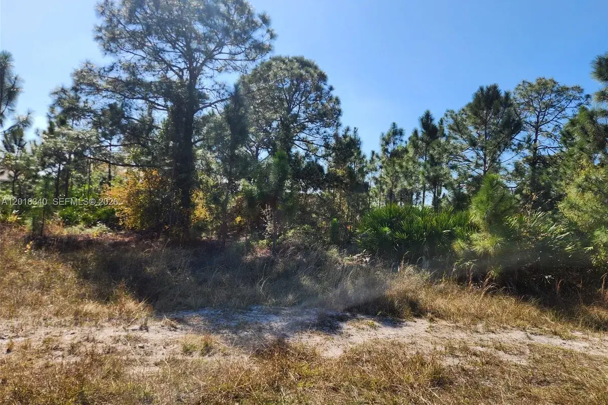 706 JOHNS AVE, Lehigh Acres FL 33972