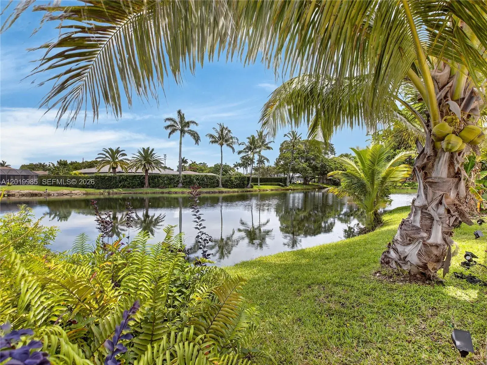 16641 Royal Poinciana Dr, Weston FL 33326