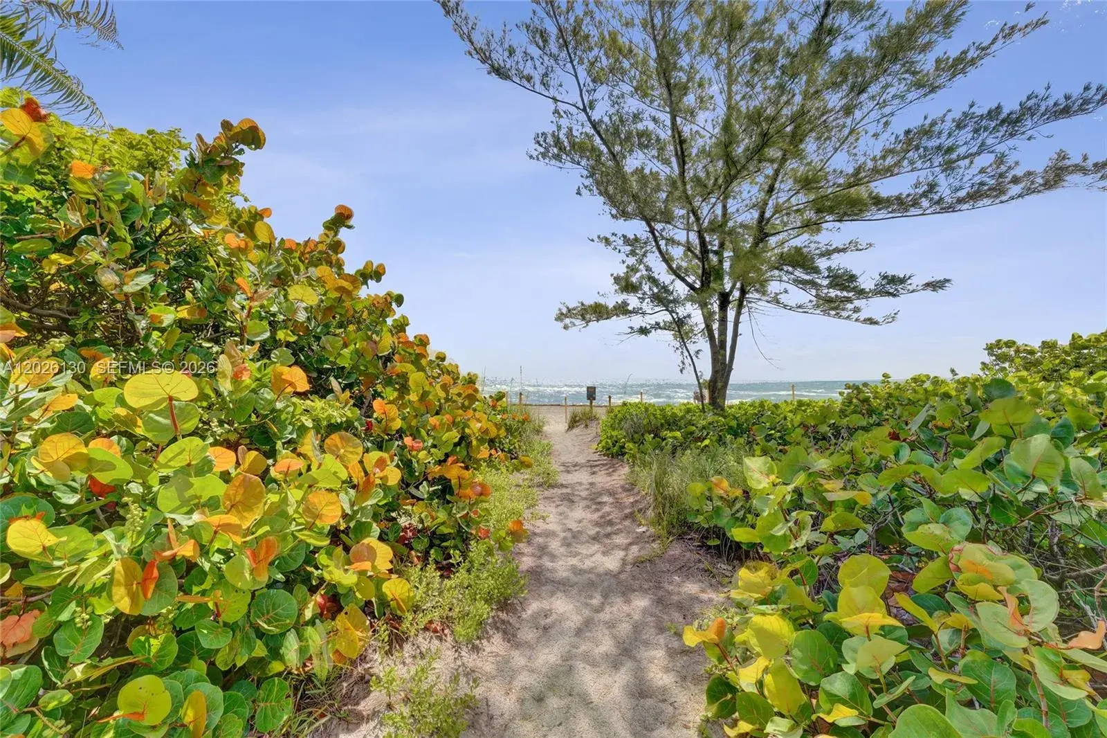 1 bedroom 1 bath Residential for sale at 1936 S Ocean Dr # 4C, Hallandale Beach FL 33009