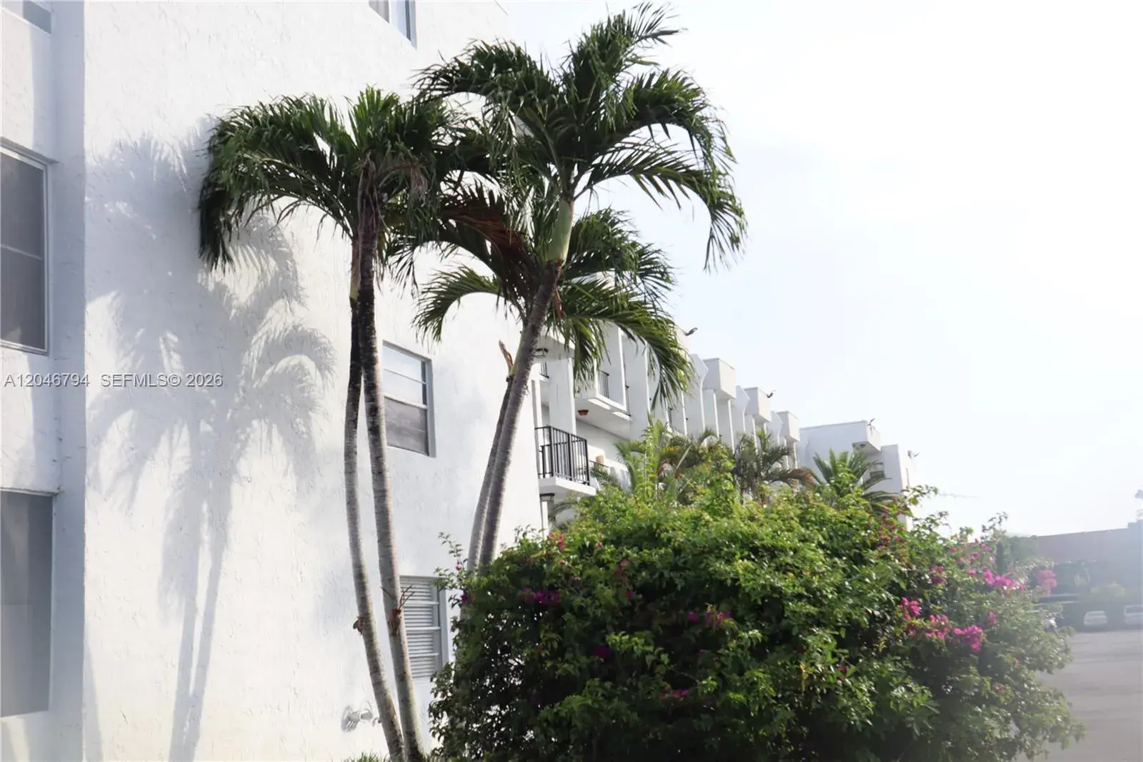 3000 E Sunrise Lakes Dr # 303, Sunrise FL 33322