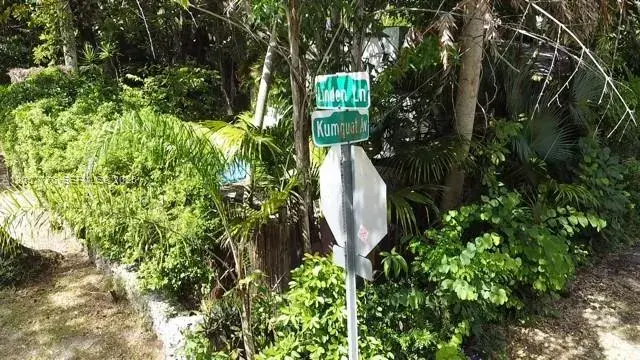 3564 Linden Ln, Miami FL 33133