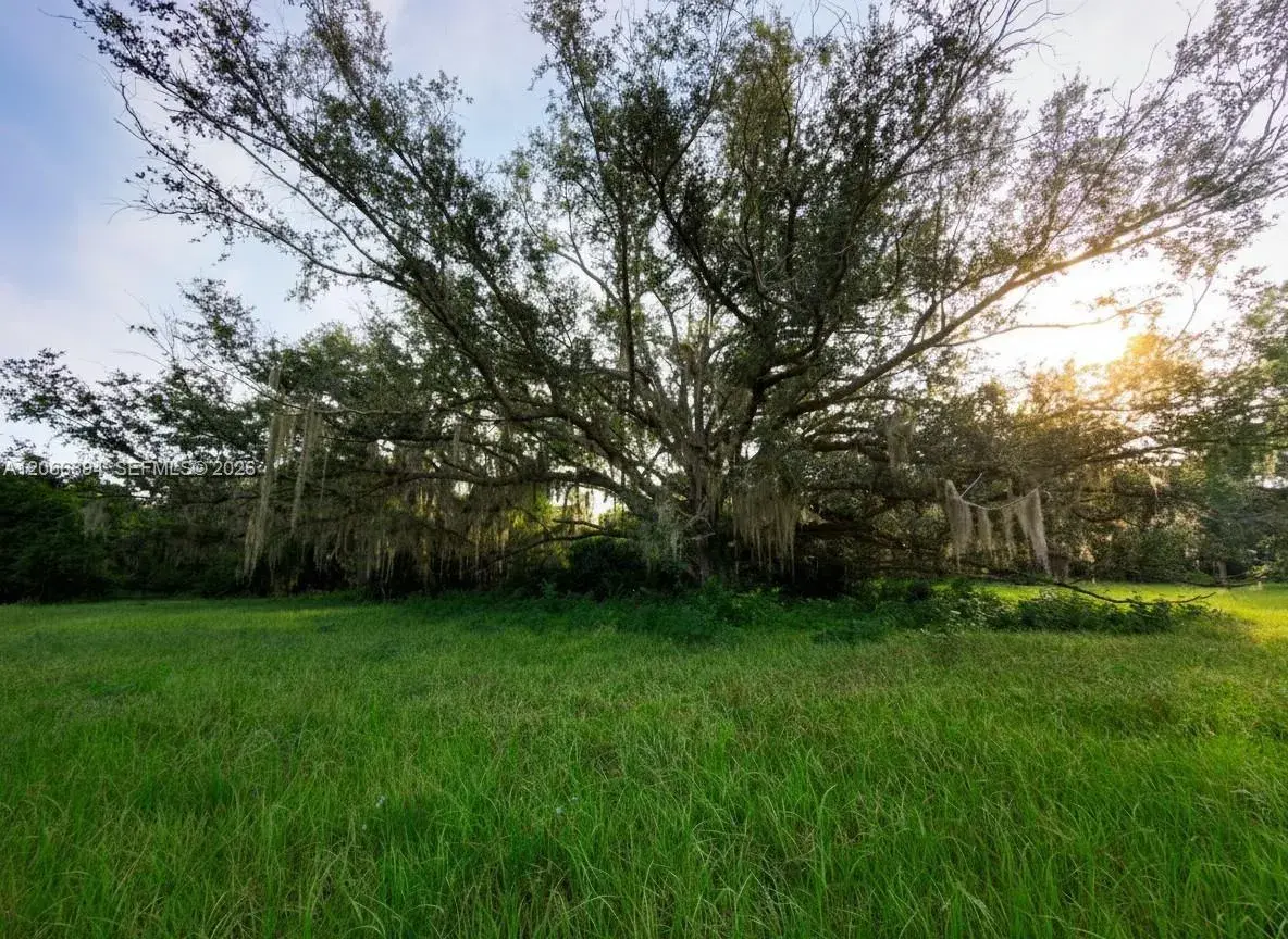 3291 Fort Denaud Rd, La Belle FL 33935