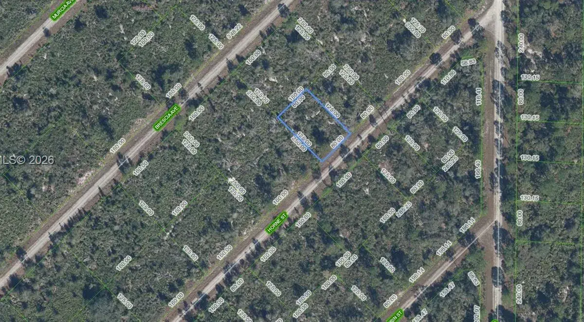 3451 Lake June, Lake Placid FL 33852