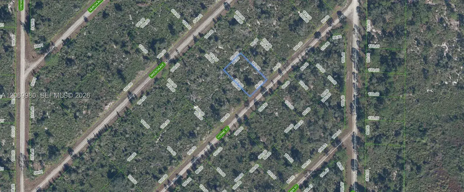 Land/Boat Docks for sale at 3517 HORNE STREET, Lake Placid FL 33852