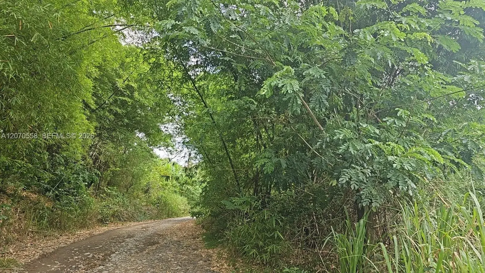 Land/Boat Docks for sale at 00 FORT GEORGE, SAINT MARY, JAMAICA, FL