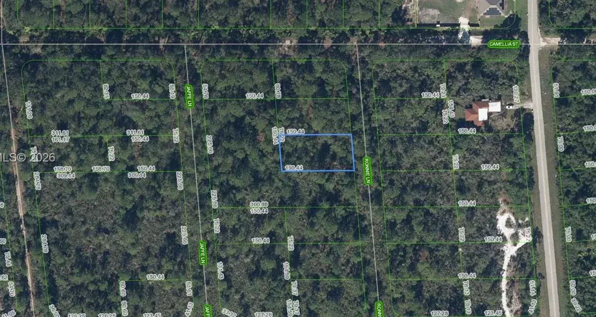 722 Ronnie Lane, Lake Placid FL 33852