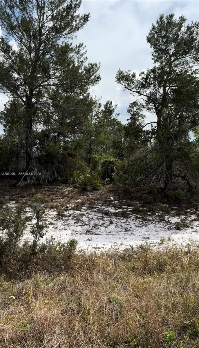 1215 Aleutian St NE, Lake Placid FL 33852