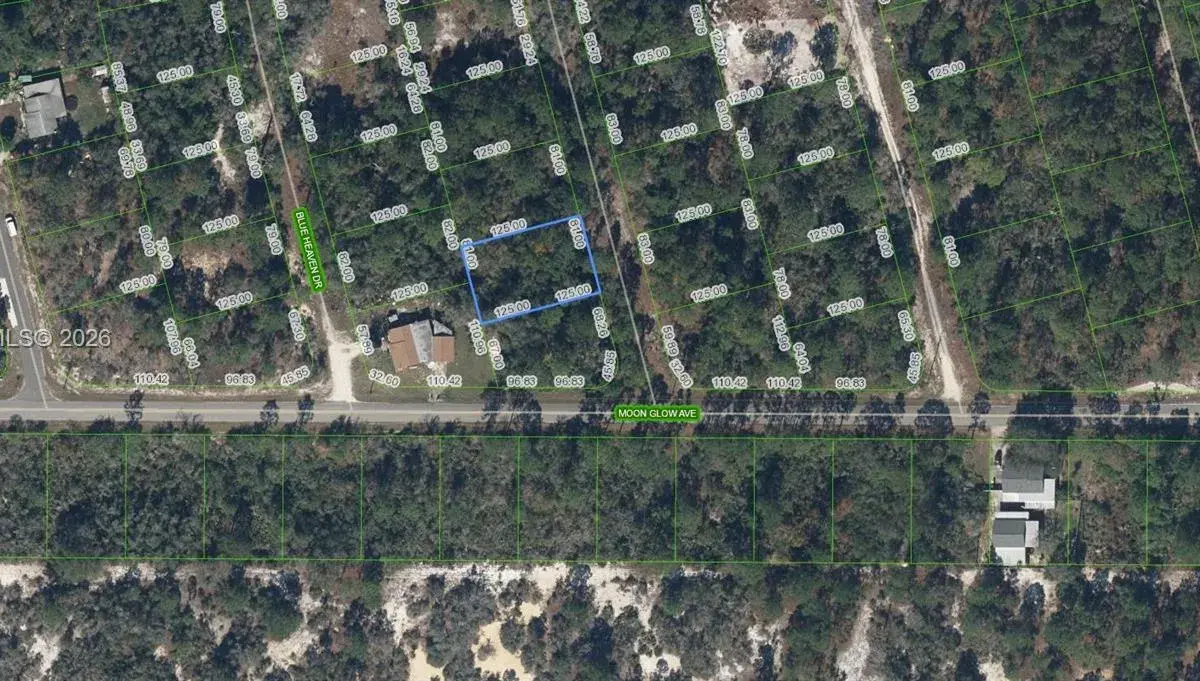 204 Rainbow Drive, Lake Placid FL 33852