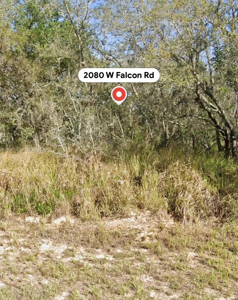 Land/Boat Docks for sale at 2080 W Falcon Rd, Avon Park FL 33825