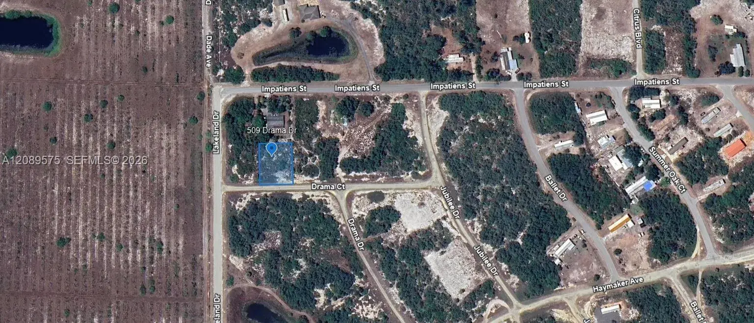 Land/Boat Docks for sale at 509 Drama Court, Lake Placid FL 33852