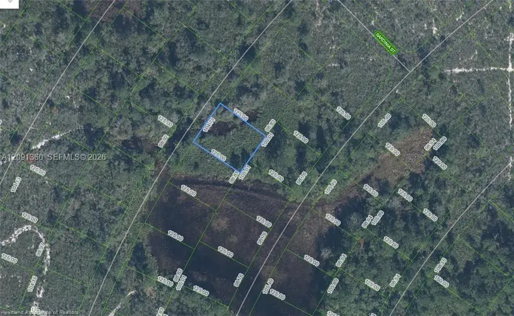 Land/Boat Docks for sale at 6625 San Benito Dr, Sebring FL 33872