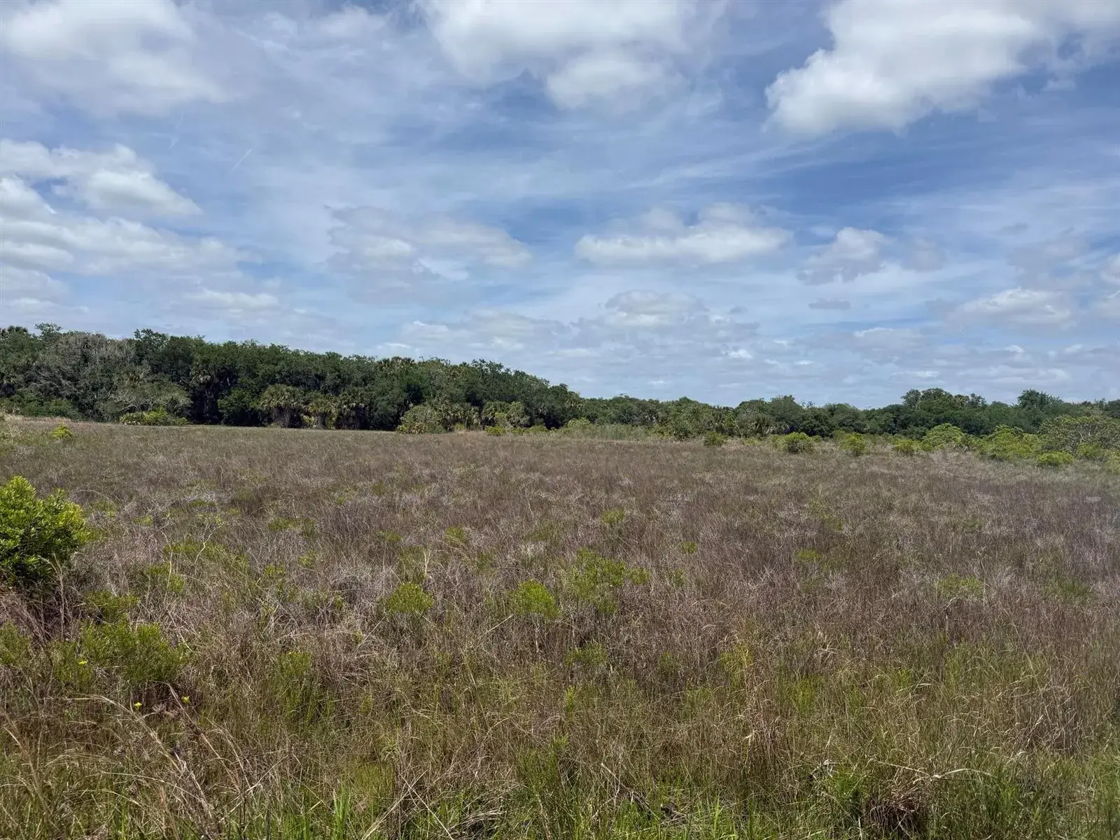 Commercial Land for sale at 15575 NW 296th Street, Okeechobee FL 34972