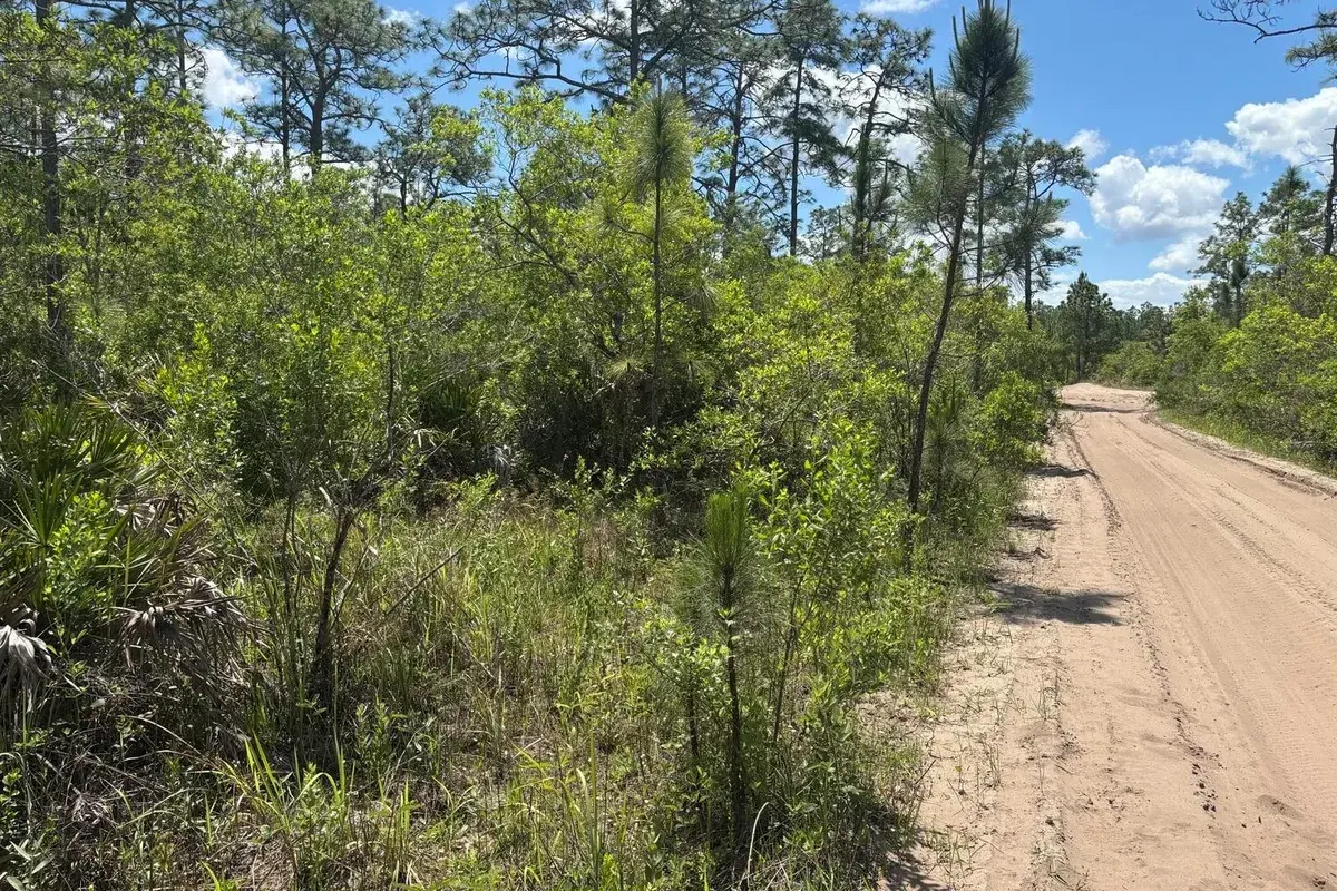 0 Holopaw Groves Road, FL 34772