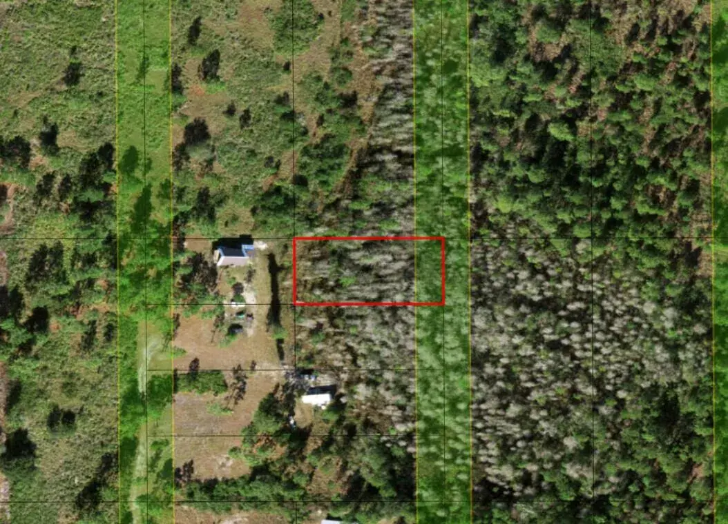 0 Holopaw Groves Road, FL 34772