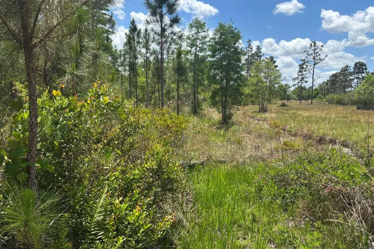 0 Holopaw Groves Road, FL 34772