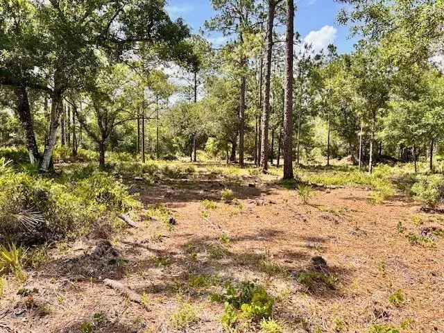 1116 Belmonte Drive, FL 33855