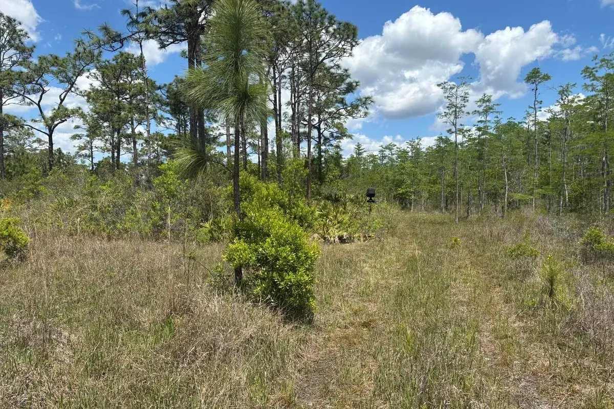0 Holopaw Groves Road, FL 34772