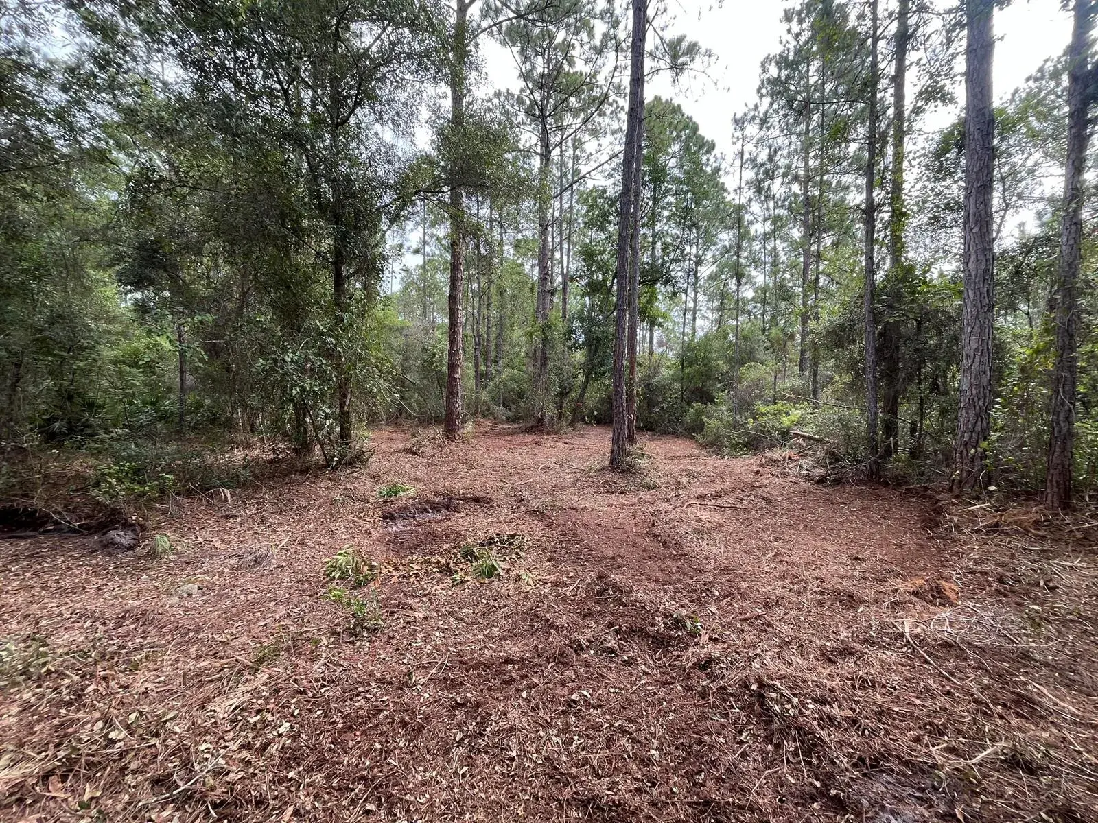 Commercial Land for sale at 122 Glenside Street, FL 32139