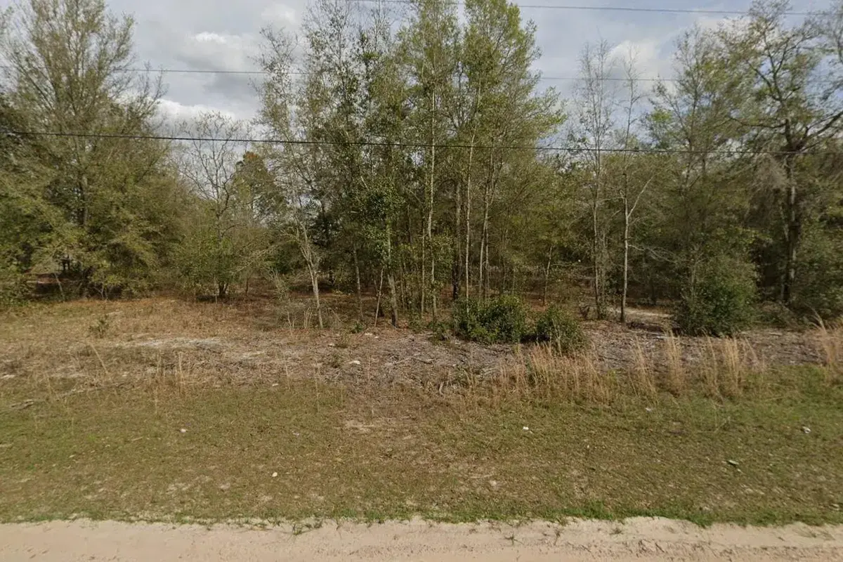 Tbd Marion Avenue, FL 32148